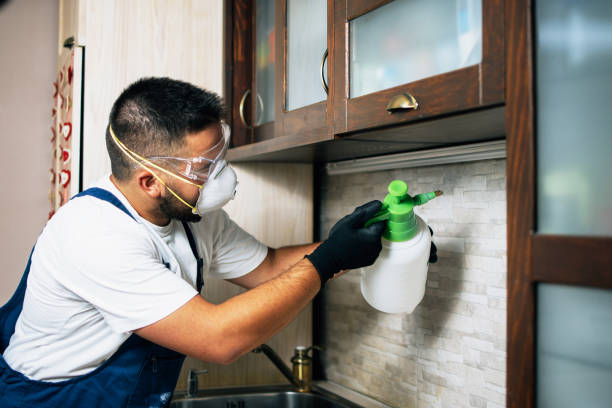 Best Bed Bug Extermination  in Budd Lake, NJ