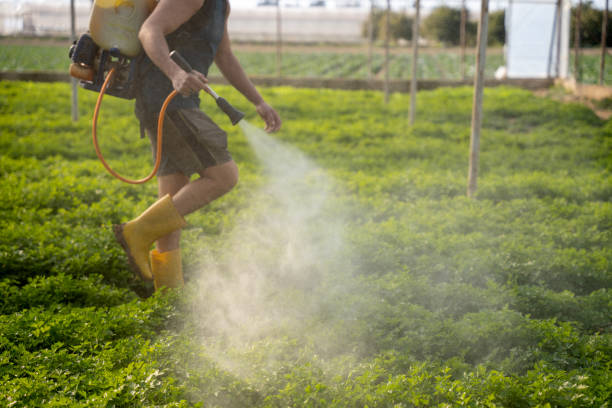 Best Best Pest Control Companies  in Budd Lake, NJ
