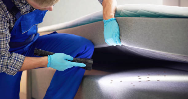 Reliable Budd Lake, NJ Pest Control Solutions
