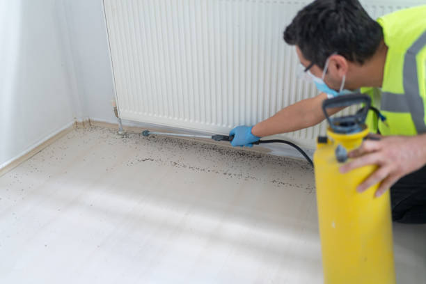 Best Affordable Pest Control Services  in Budd Lake, NJ